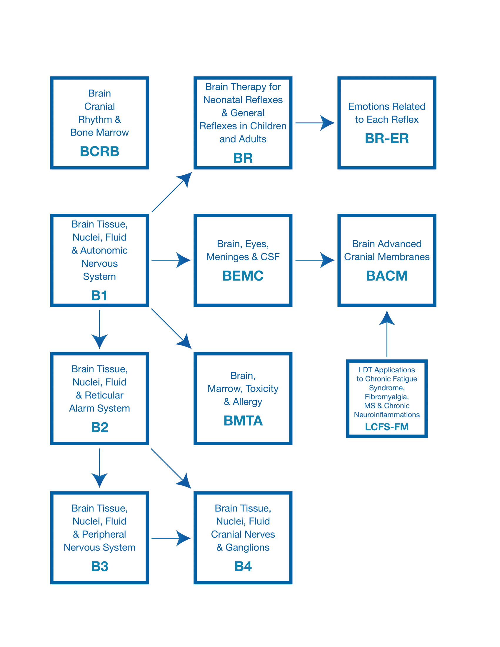 Brain Flowchart.jpg